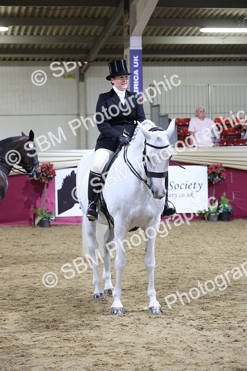 SBM_21175 - class Q - Ridden Horse Champ