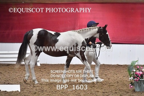 BPP_1603 - MORNING 9AM - 12PM