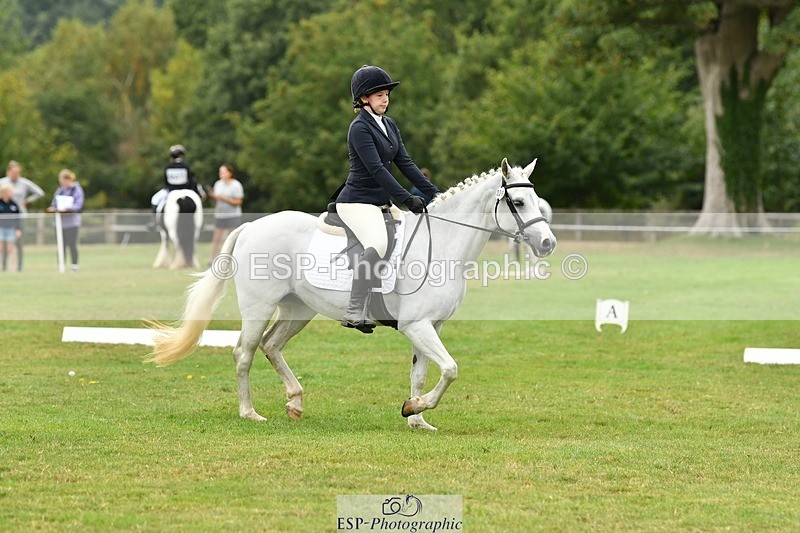 250820A-121709-05531 - 12 to 13.00