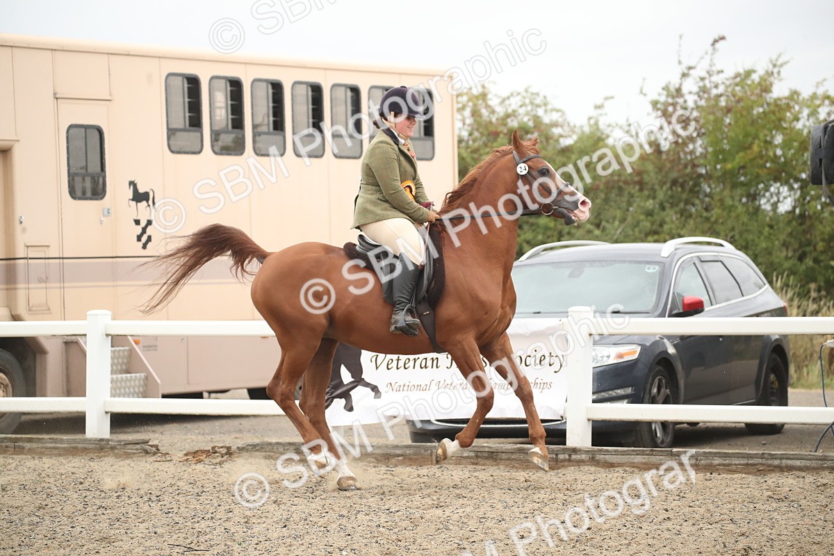 SBM_18430 - Class 509B - Working Veteran - 80cm (20+)