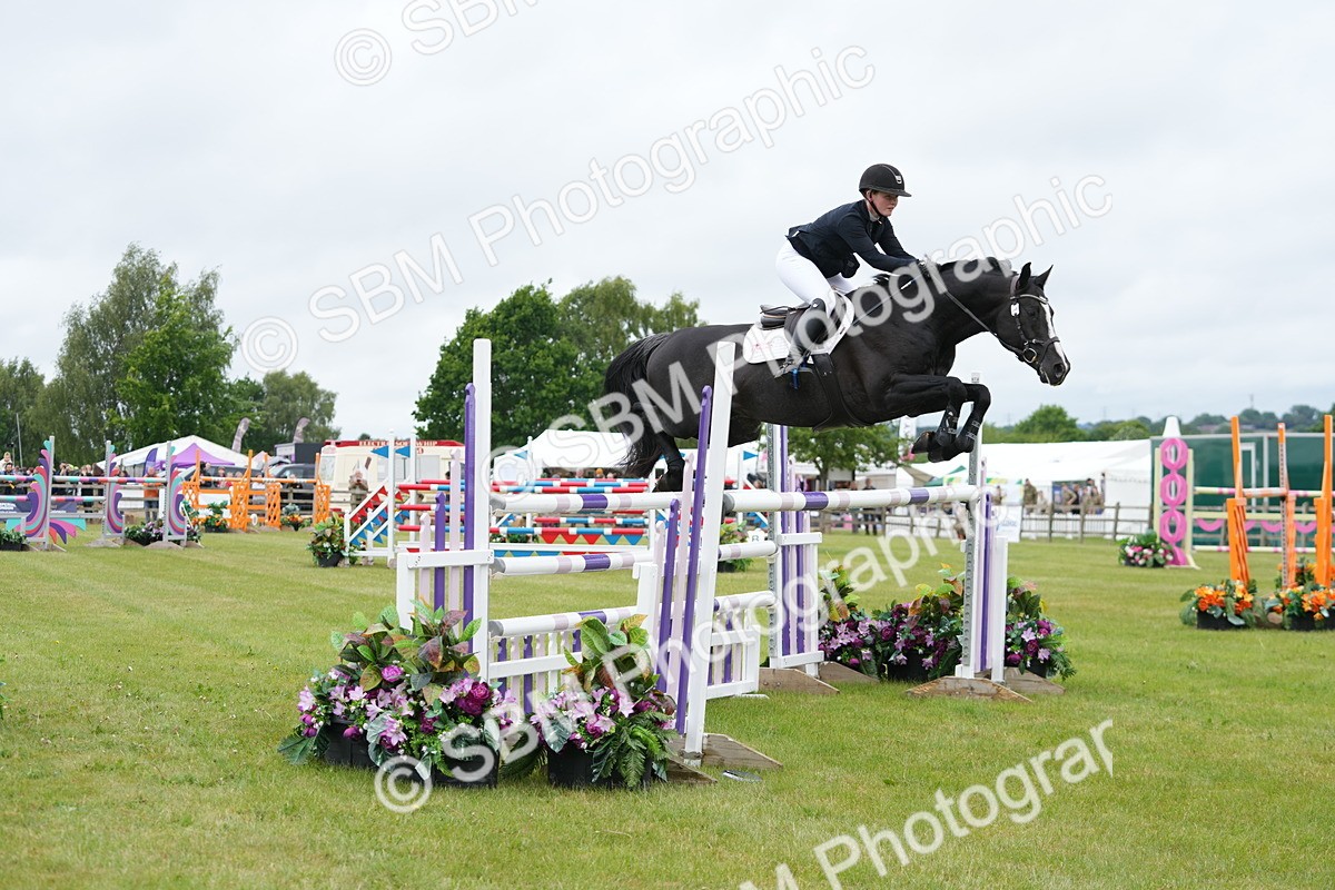 SBM_03308 - Class 201 - British Horse Feeds Speedi Beet Horse of the Year Show Grade  C