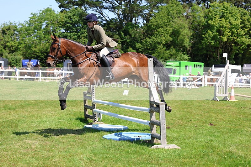 3E7A6978 - Class 30: Novice Working Hunter