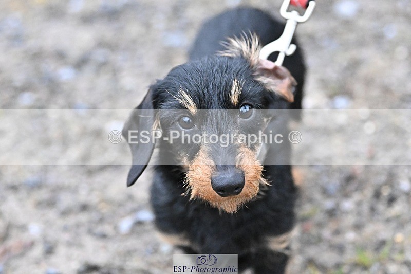 241206-144205-01119 - Naomi