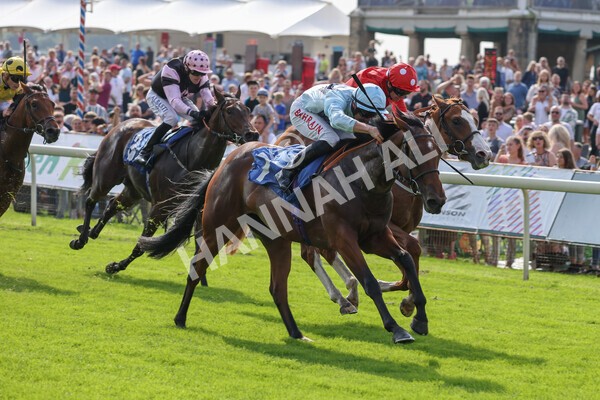 yr05092021r1-24 - Race 1 2.10pm IRE-Incentive It Pays To Buy Irish ebfstallions.com Novice Stakes