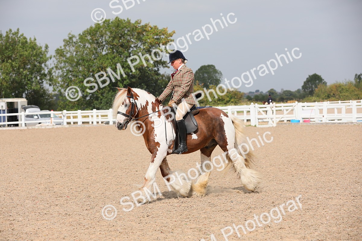 SBM_12771 - Class 307 Ridden Coloured Pony