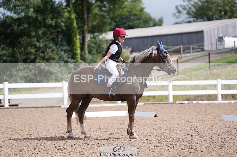 240809A-105016-00677 - Dressage Competition