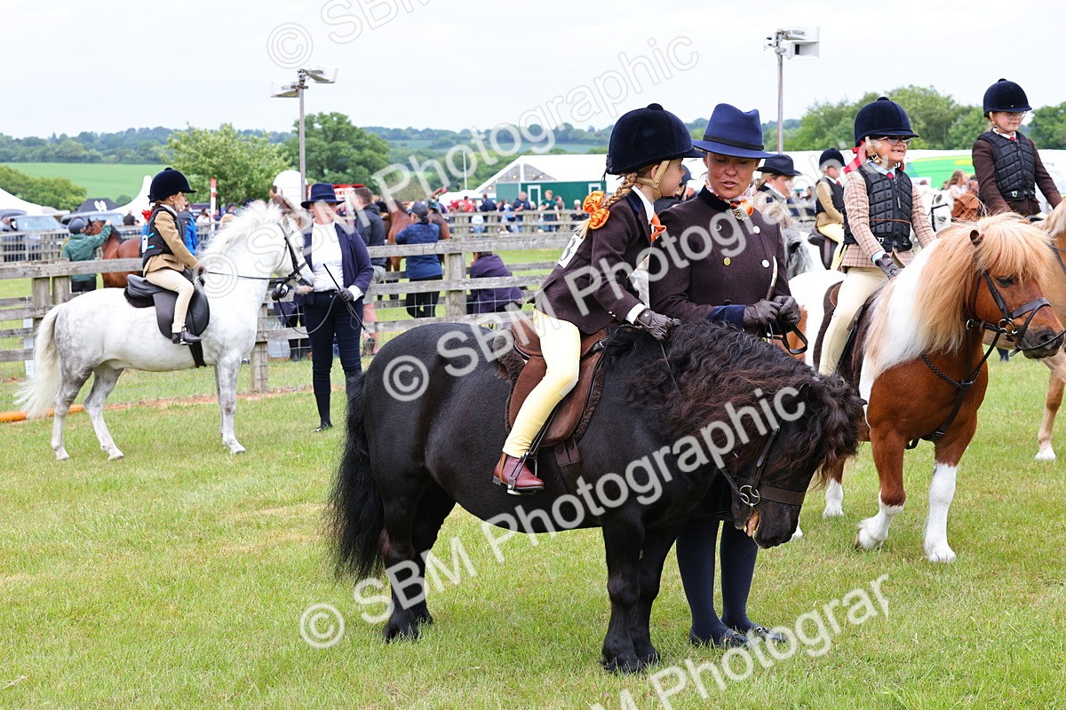 SBM_08350 - Class 42-43 - LIHS BSPS Heritage Working Sports Pony