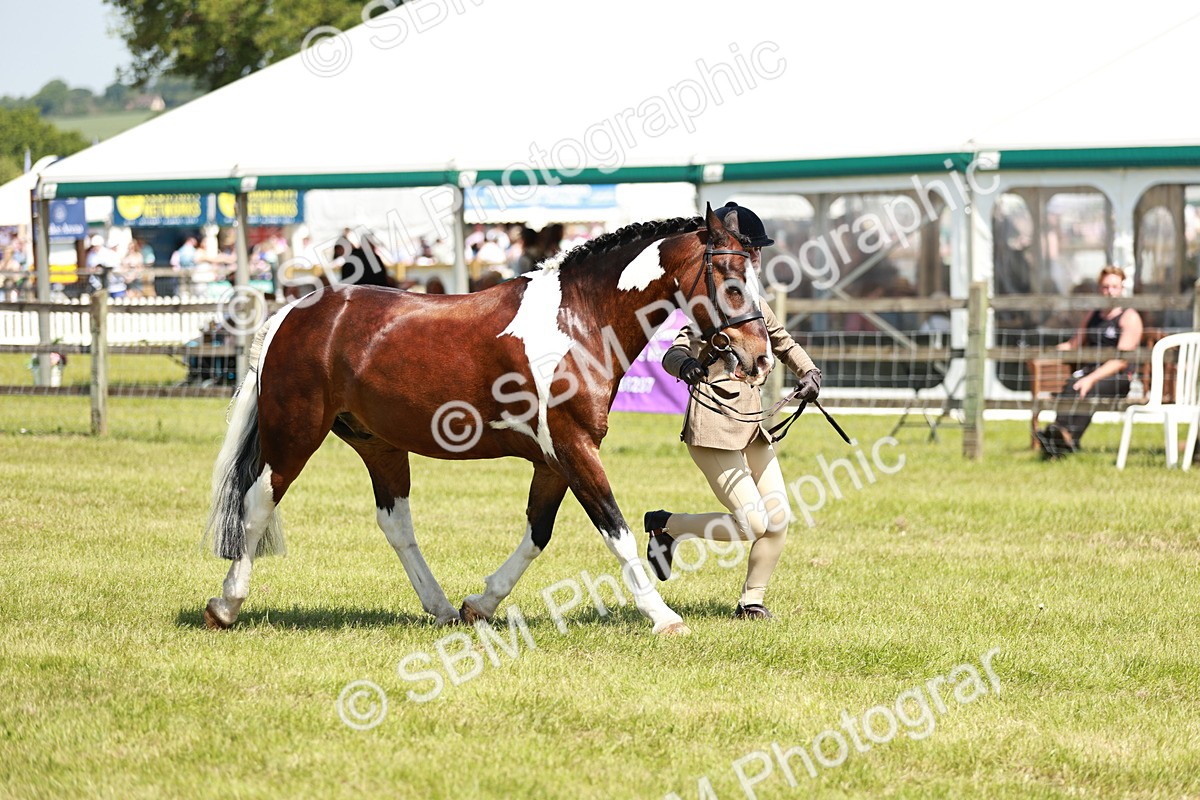SBM_15498 - Class 108-109 - BSPS LIHS Open Gradle & Nursery Stakes
