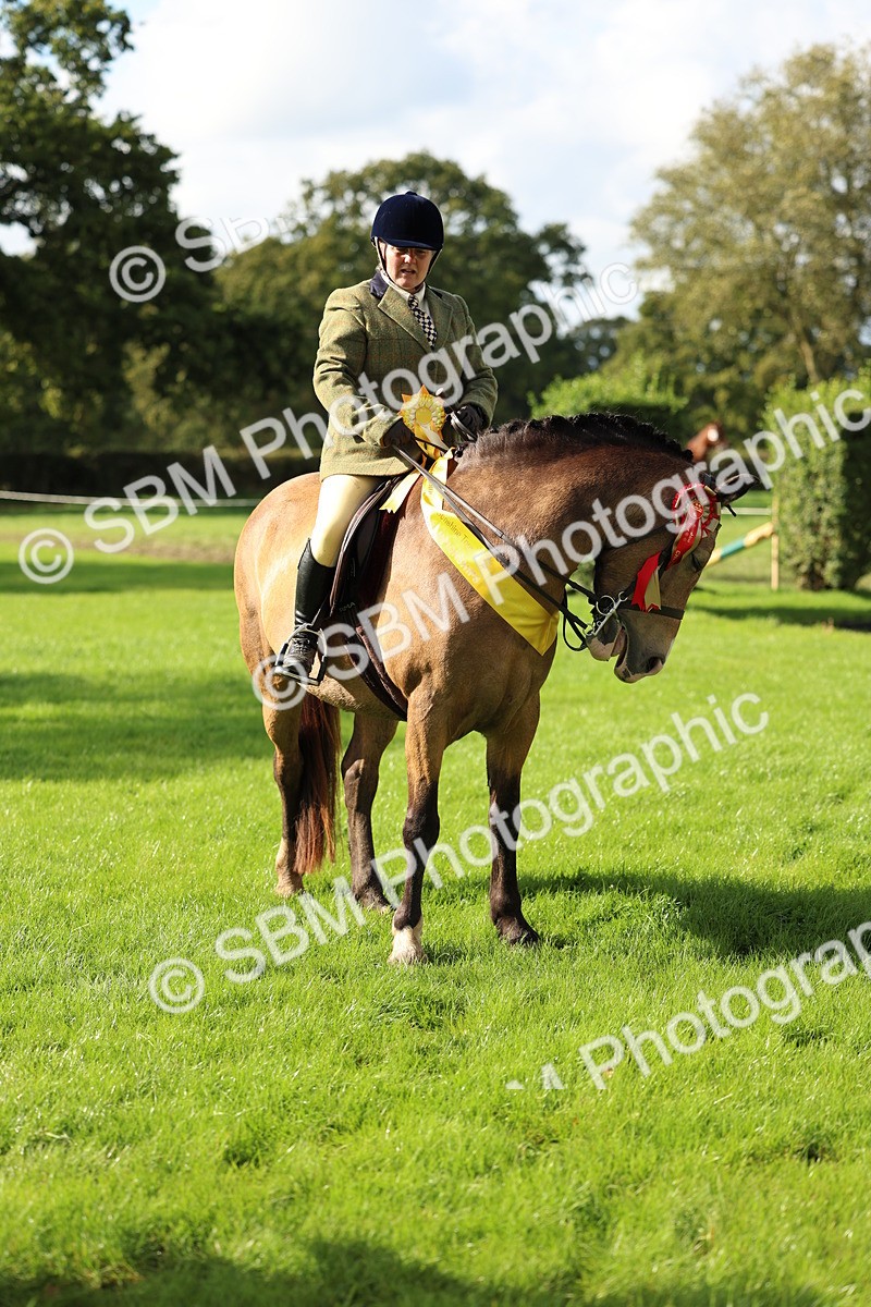 SBM_46420 - Working Hunter Pony Supreme Championship