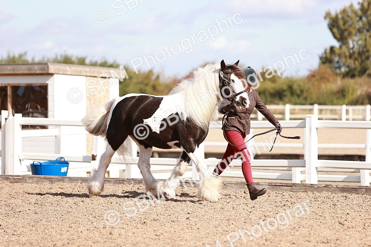 SBM_12559 - Class 404 - IH Traditional - Native Cob