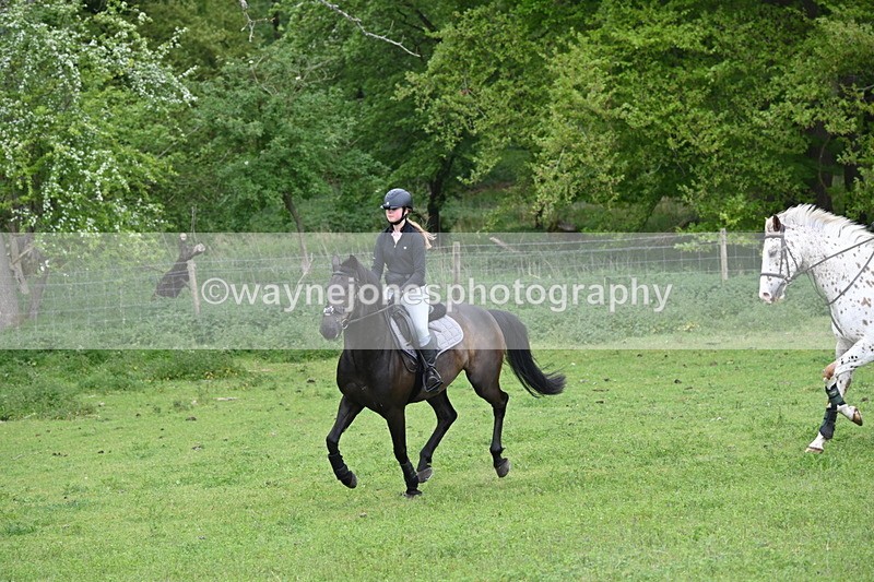 WJ6_2861 - A Camera
