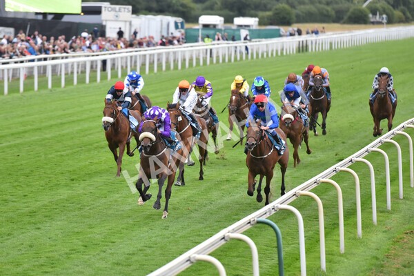 yr22072022r4-38 - Race 4 6.50pm The IRE Incentive It Pays To Buy Irish EBF Restricted Novice Stakes