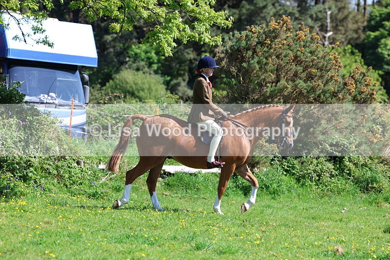 3E7A9753 - Class 4: Best Combination Senior