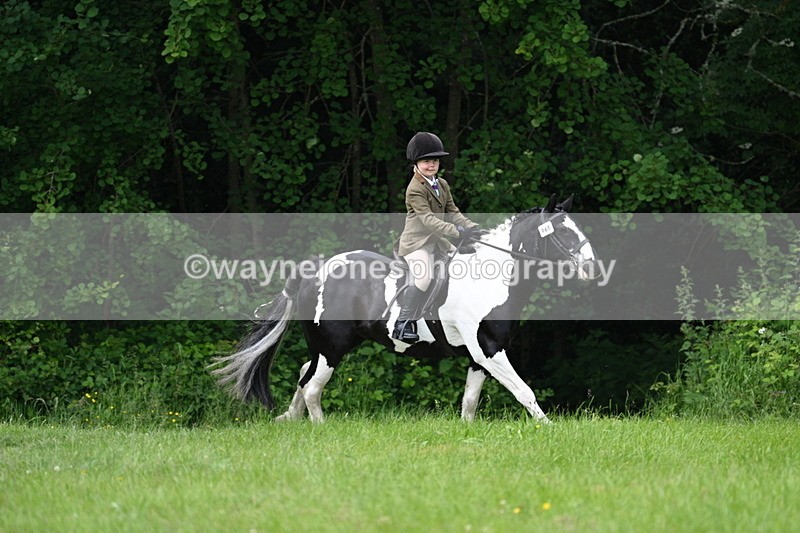 WJ7_2013 - Class 12A Coloured Class