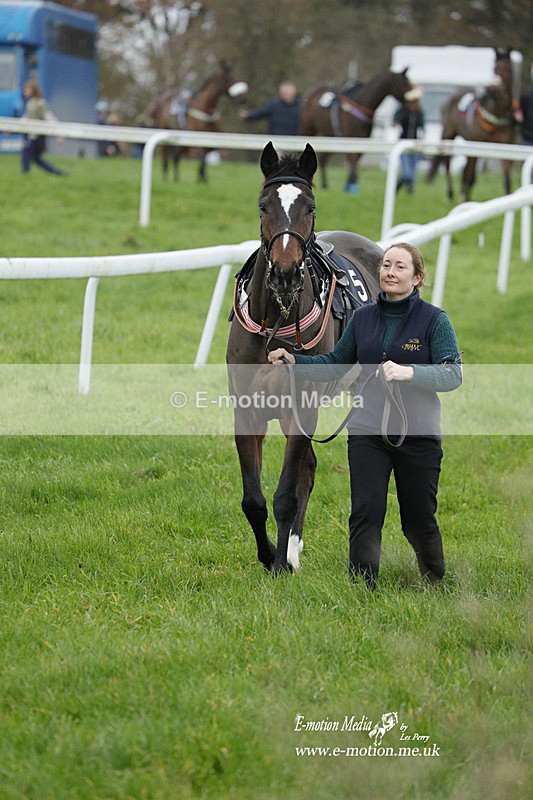 PtP 271122 176 - Hursley Hambledon Hunt Point-to-Point - Larkhill - 27/11/22