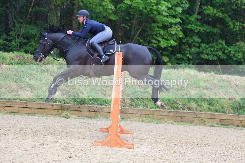 3E7A7347 - Class 8: Senior Foxhunter/1.20 open