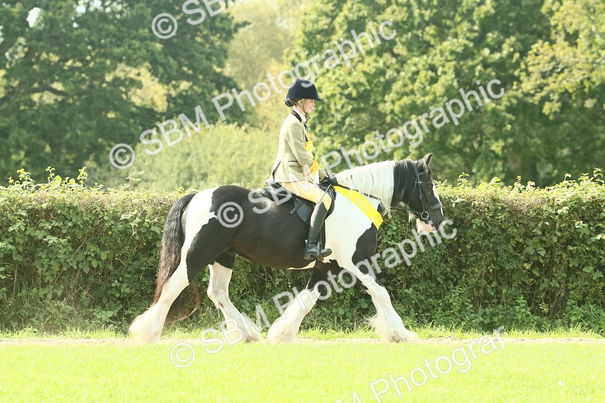 SBM_68993 - S58 - Mini Show Cob Ridden