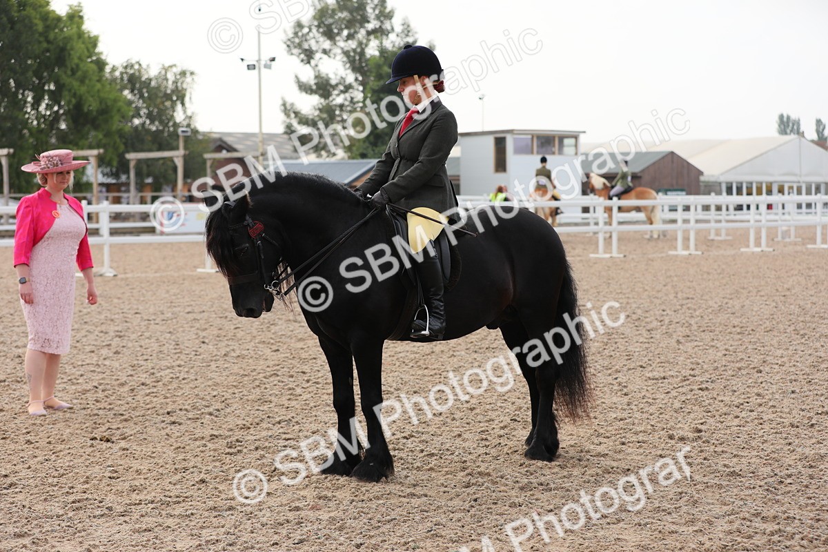 SBM_10037 - Class 302 Ridden M&M -Large Breeds