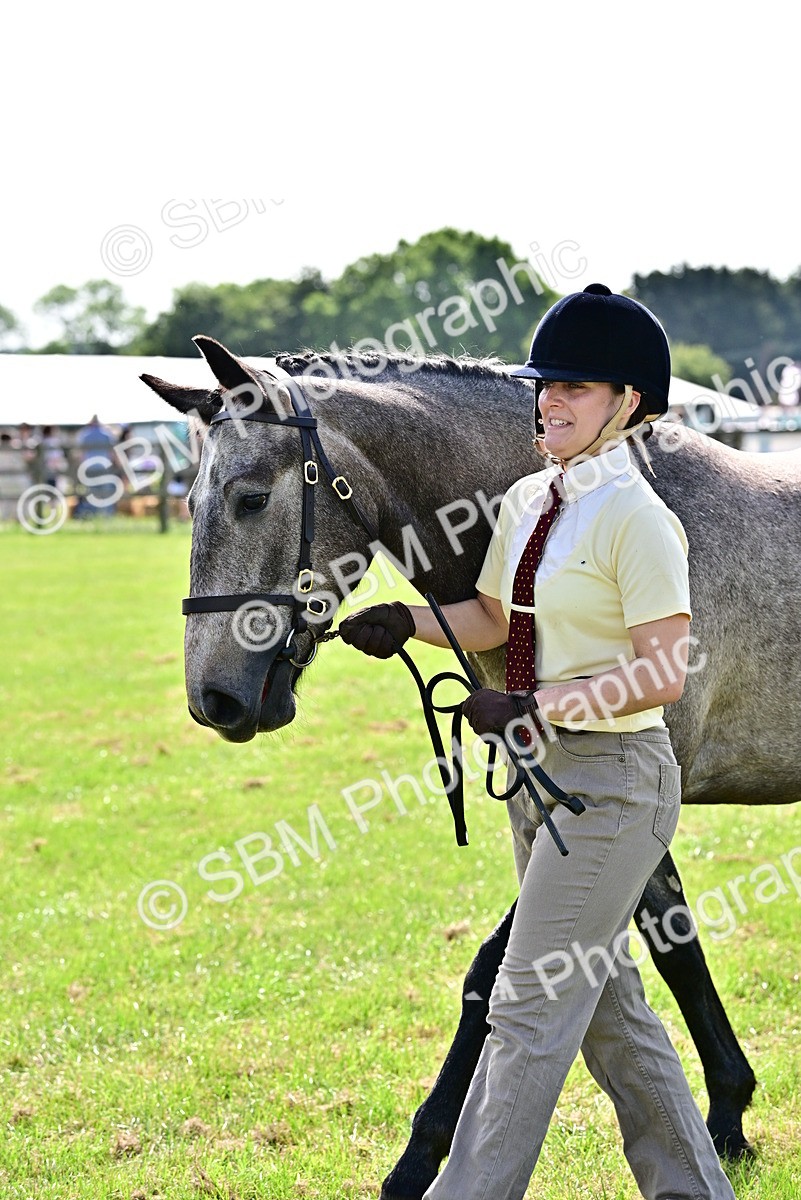 SBM_03309 - Class 50 - 54 Light Horse Breeding