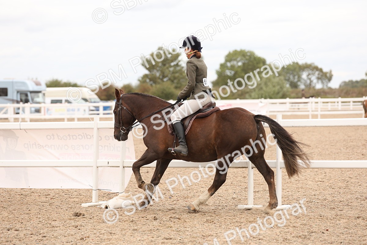 SBM_19561 - Class 215 - Ridden Show cob