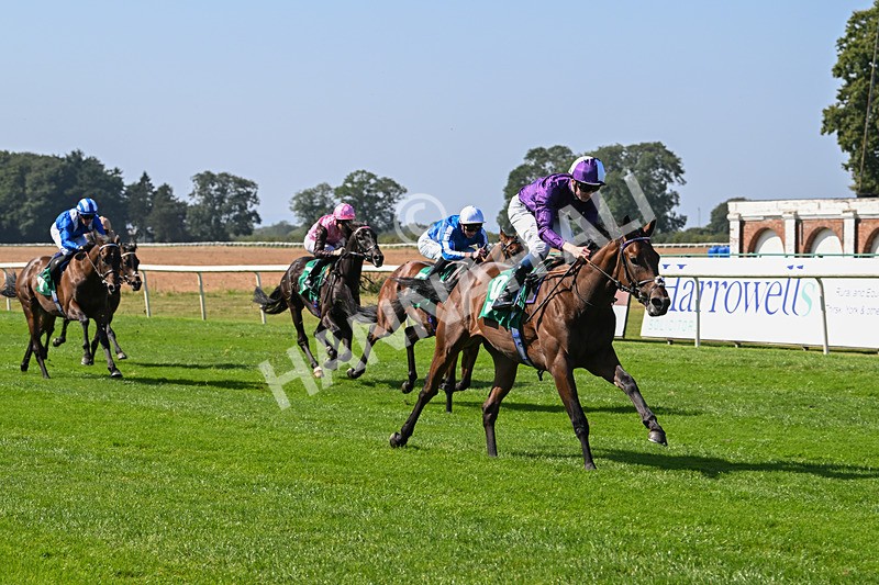 300824-Race 1-Tuscan Hills-5615 - Race 1
