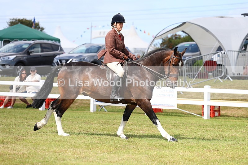 3E7A9720 - Class 5: Rising Star Lightweight/Heavyweight Cobs