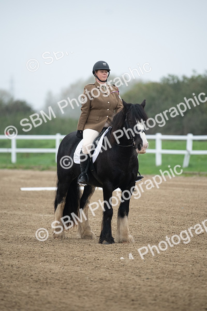 SBM_003316 - Introductory Test 3