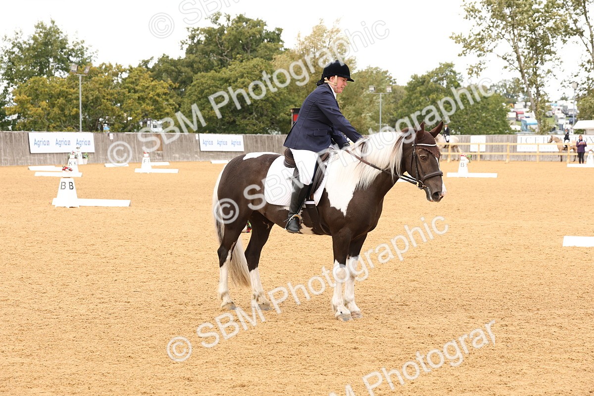 SBM_20300 - D10 - Small Tour Championship Prelim 2