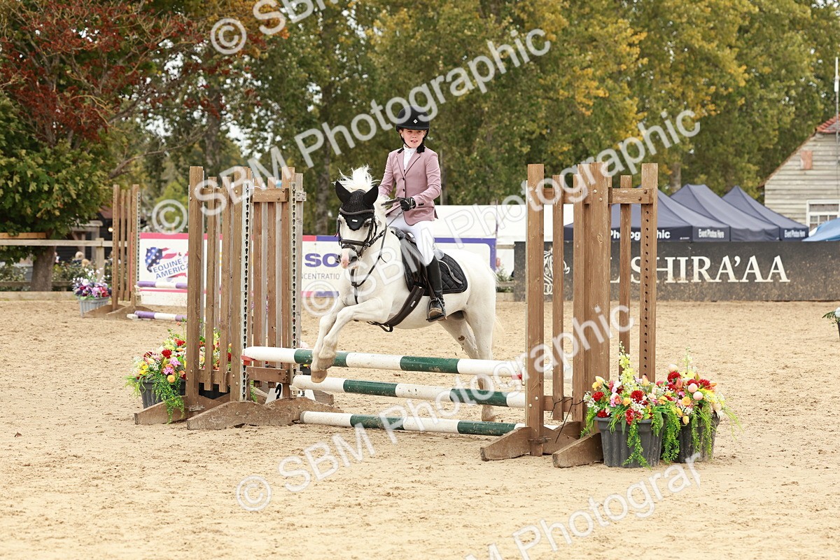 SBM_65228 - Supreme Championship 50cm & 55cm