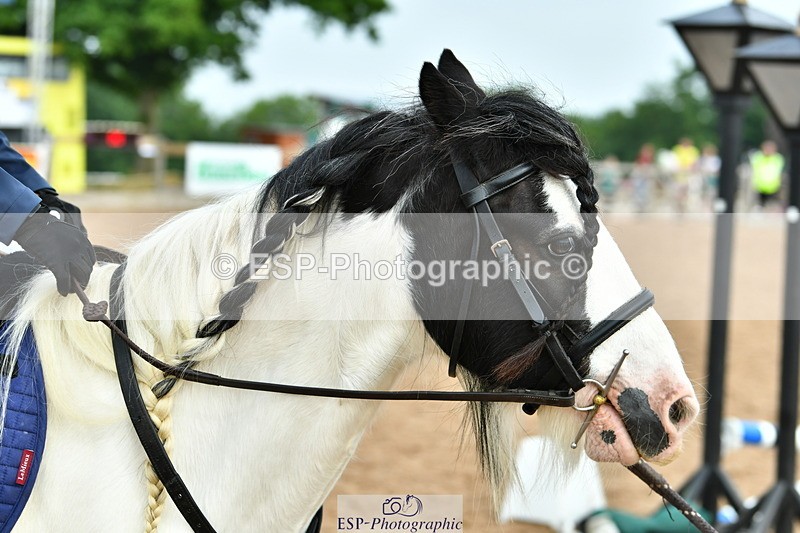 230618A-091842-00174 - Cls 1 30cm