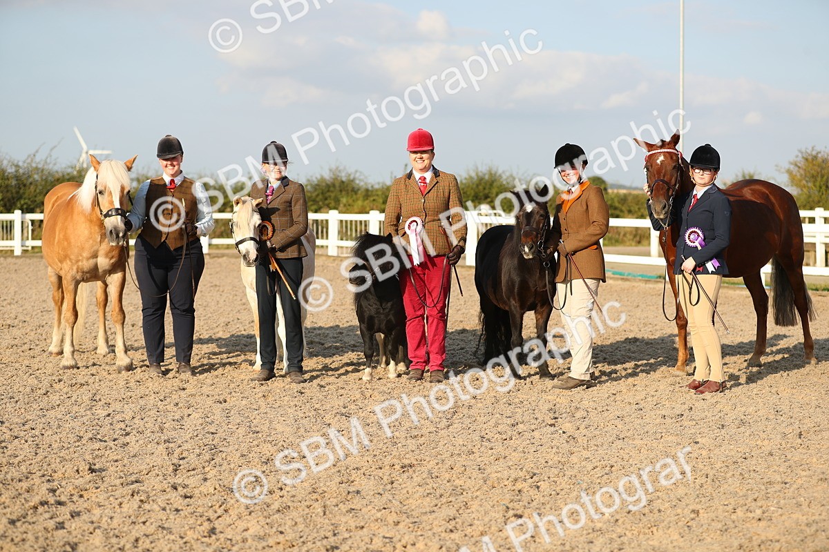 SBM_09157 - Class 29 IH Veteran Pony