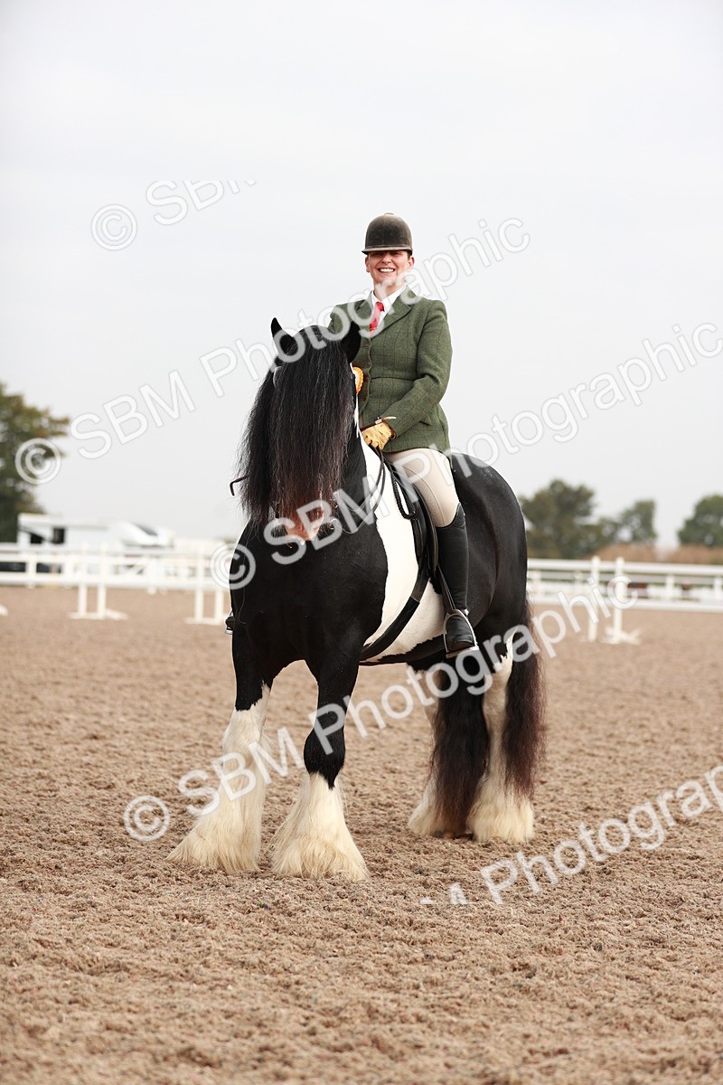 SBM_09456 - Class 202 Best Turned Out Ridden