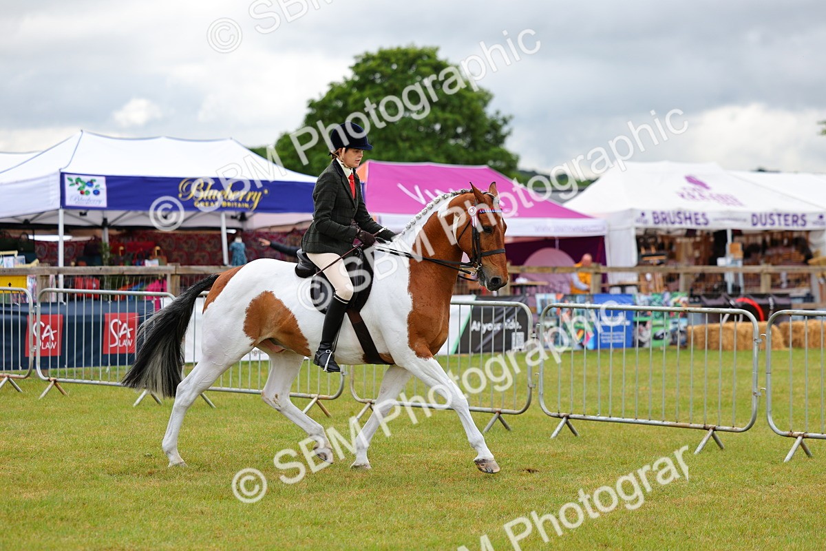 SBM_02487 - Class 9-11 Side Saddle including LIHS Rising Star Ladies Show Horse