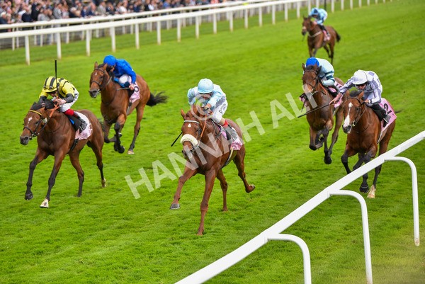 190523-Race 4-Giavellotto-0817 - Race 4 3.35pm Boodles Yorkshire Cup Stakes