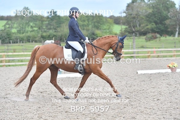 BPP_5957 - PRELIM TEST 5 LONG ARENA