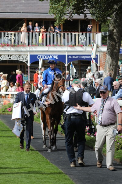 yr19082022r3-40 - Race 3 3.00pm Al Basti Equiworld Dubai Gimcrack Stakes