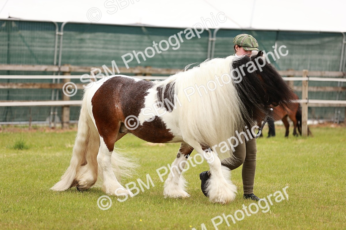 SBM_04626 - Class 5-8 - BSPA In hand