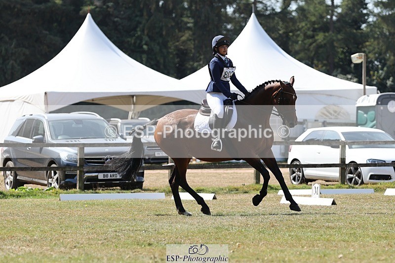 250823A-115928-29676 - Arena C