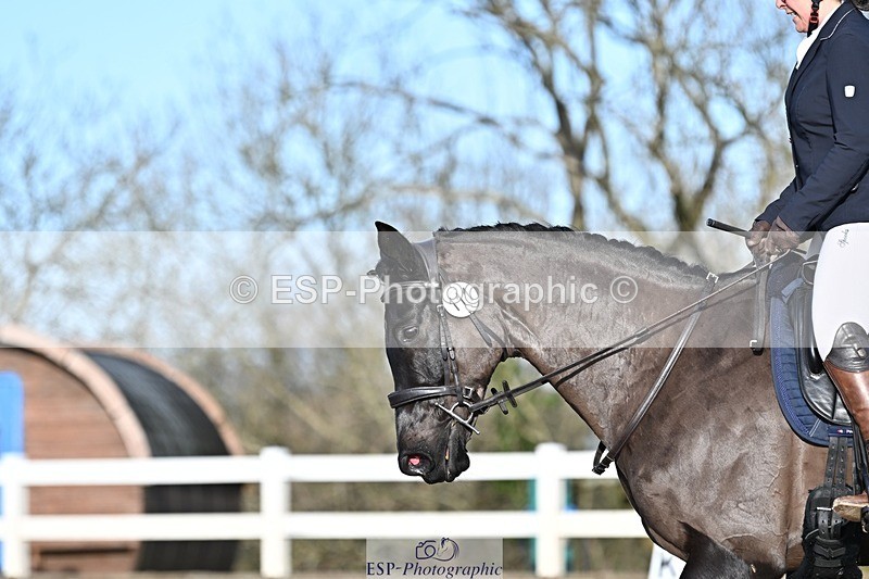 250125-102925-00189 - Dressage - CT Class 4 BE95 (80cm)