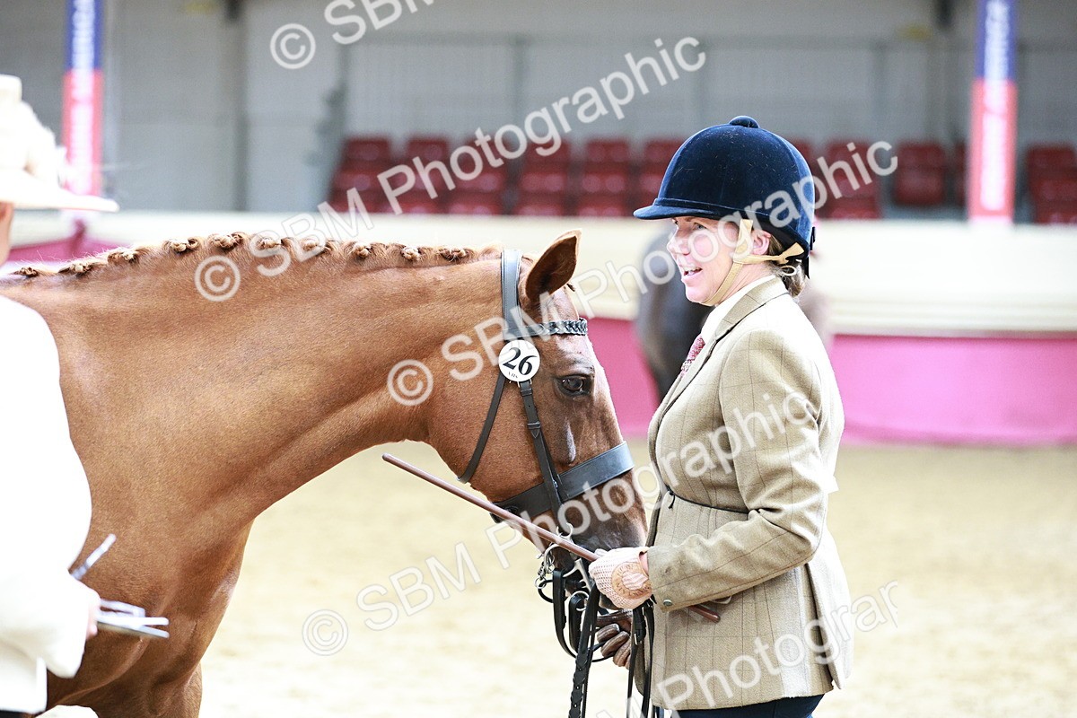 SBM_04789 - Class 7R - Regional IH Diamond