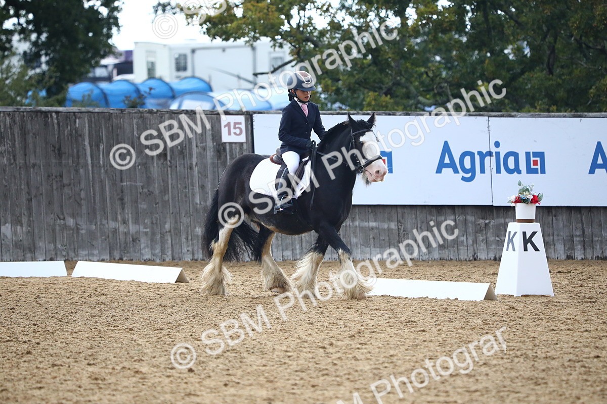 SBM_42596 - D21 - Junior Championship Intro 1