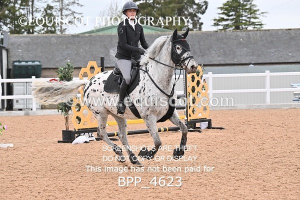 BPP_4623 - CLASS 20 SUN British Novice/90cms Open