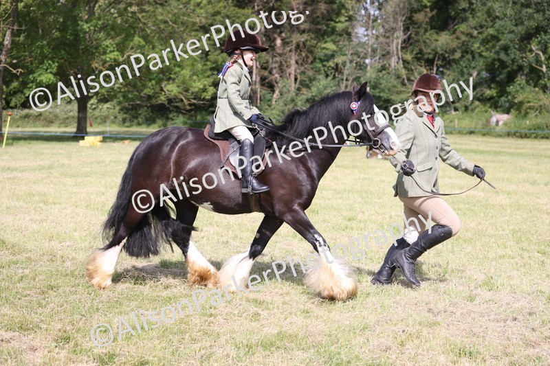 20260614-0619 - Class 20 - Beginners Working Hunter Pony