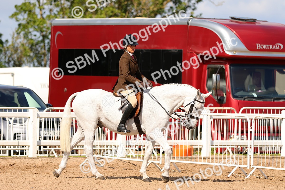 SBM_13178 - Class 211 - Ridden Hunter - Small