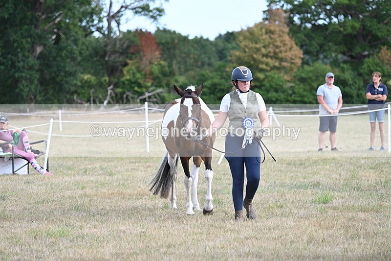 WJ7_8298 - In-hand Championship