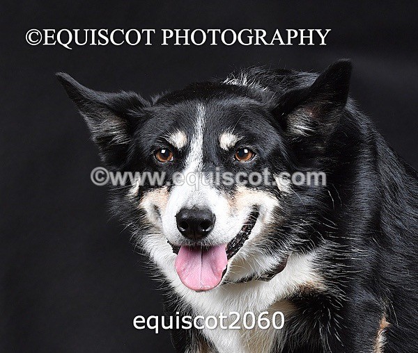 equiscot2060 - SKY & NELL