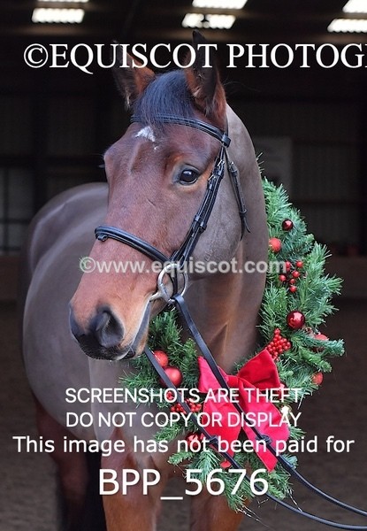 BPP_5676 - Imogen Gray