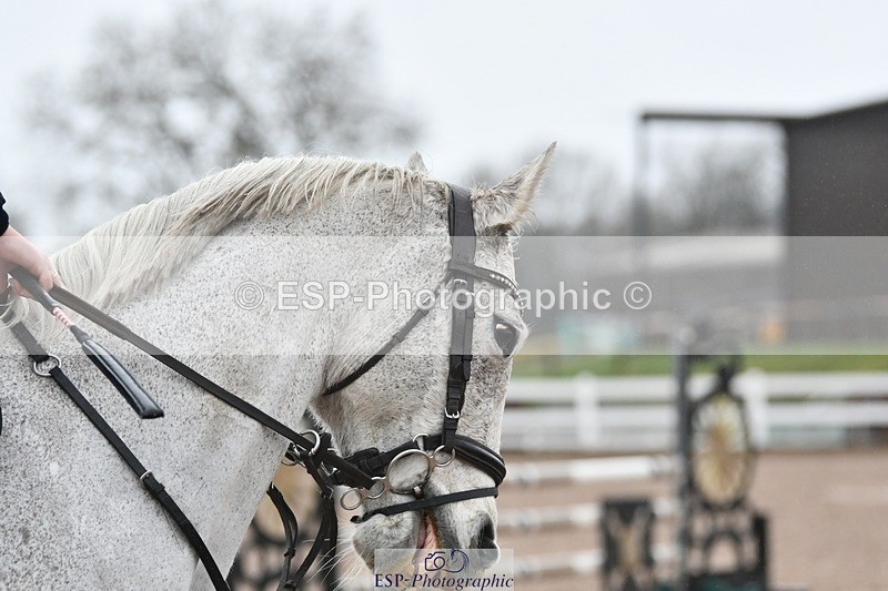 260222-103920-02895 - Class 0 + 15 CR British novice + 90cm