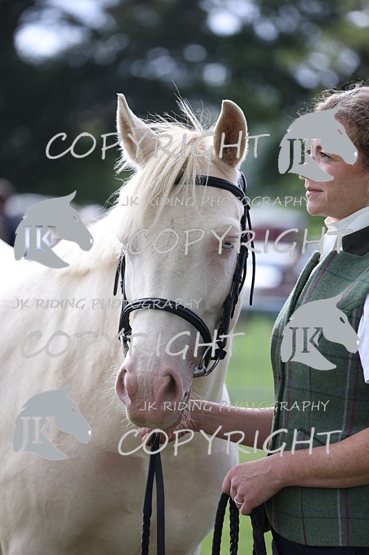 APP_2968 - Class 10a/b M&M in hand