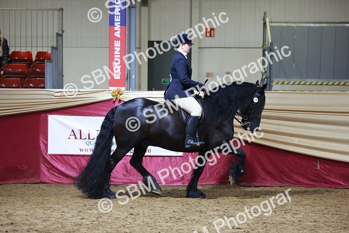 SBM_21550 - Class V - Champion of Champions